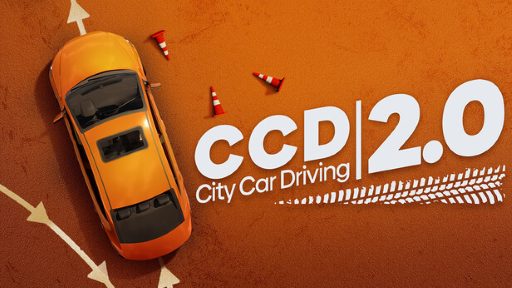 City Car Driving